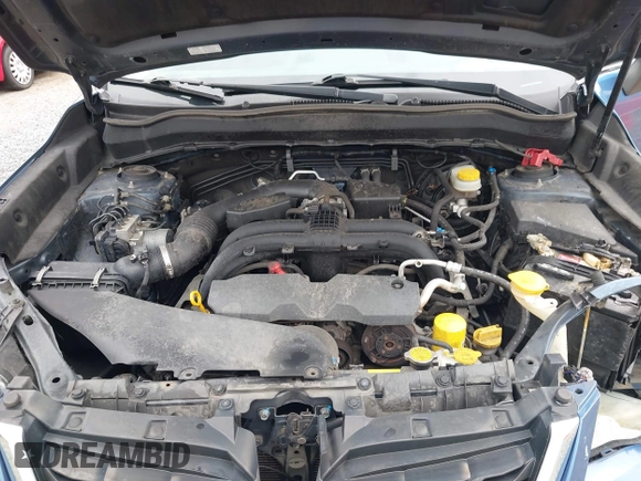 2017 Subaru Forester Touring with VIN JF2SJAWC1HH443799, listed as a IAAI auction lot 41943045 with 122,213 mi miles and . Bid and sale history available at DreamBid. Image 10.