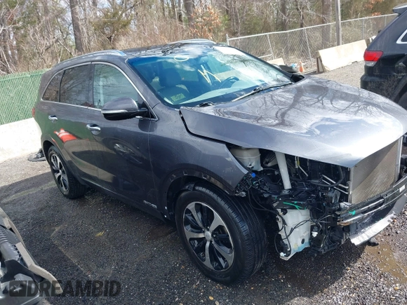 2016 Kia Sorento EX with VIN 5XYPHDA54GG129890, listed as a IAAI auction lot 41689416 with 72,075 mi miles. Bid and sale history available at carsss.com. Image 1.
