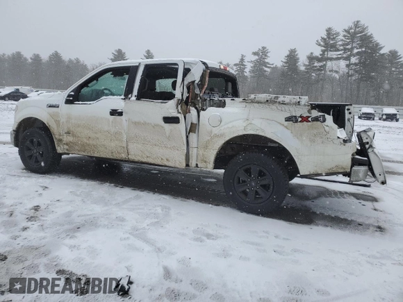2017 Ford F-150 XL with VIN 1FTEW1EG0HFC21266, listed as a Copart auction lot 46624745 with 141,117 mi miles and Salvage Title. Bid and sale history available at carsss.com. Image 2.