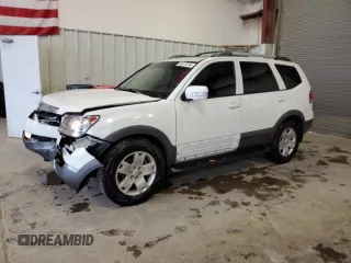 2009 Kia Borrego LX with VIN KNDJH741495017263, listed as a Copart auction lot 86378254 with 175,487 mi miles and Salvage Title. Bid and sale history available at carsss.com. Image 1.