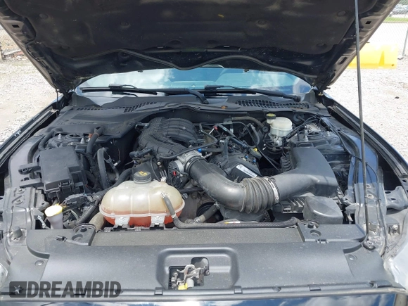 2015 Ford Mustang V6 with VIN 1FA6P8AM1F5431065, listed as a IAAI auction lot 42352535 with 110,274 mi miles and . Bid and sale history available at DreamBid. Image 10.