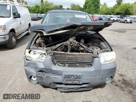 2006 Ford Escape XLT z VIN 1FMCU03146KB47131, wystawiony jako Copart lot #56731215 z przebiegiem 230 520 mil mil oraz Szkoda całkowita • Salvage title. Historia ofert i sprzedaży dostępna na DreamBid. Obrazek 5.