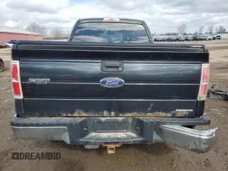 2013 Ford F-150 XL with VIN 1FTEX1CM4DFA97115, listed as a Copart auction lot 49899335 with Not Provided miles and Salvage Title. Bid and sale history available at carsss.com. Image 6.
