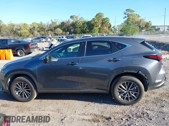 2024 Lexus NX with VIN JTJGDCAZXR5020805, listed as a IAAI auction lot 41828608 with 10,769 mi miles. Bid and sale history available at carsss.com. Image 14.