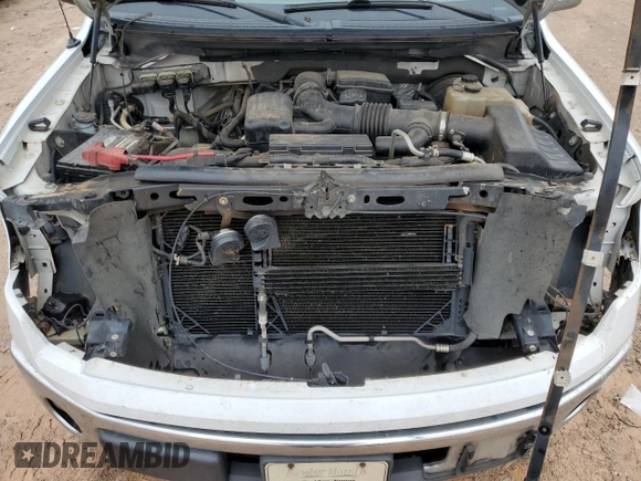 2010 Ford F-150 XL with VIN 1FTFW1CVXAFC29578, listed as a Copart auction lot 50214125 with 203,410 mi miles and Salvage Title. Bid and sale history available at carsss.com. Image 11.