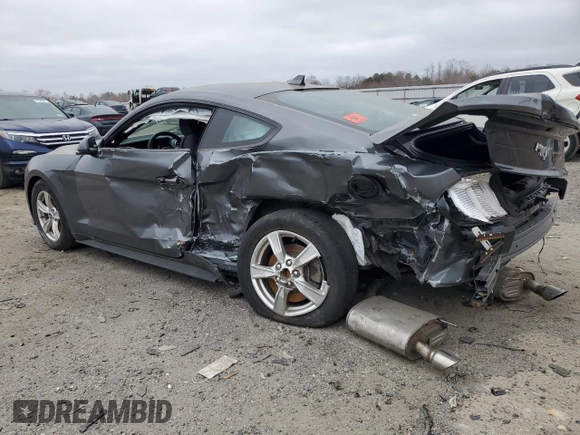 2023 Ford Mustang EcoBoost with VIN 1FA6P8TH4P5101017, listed as a Copart auction lot 48746865 with 0 mi miles and Salvage Title. Bid and sale history available at carsss.com. Image 2.