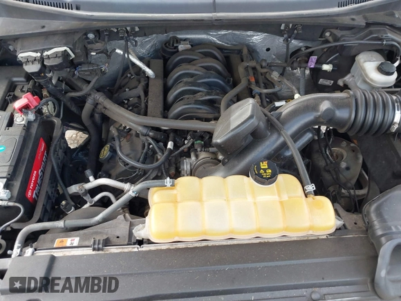 2016 Ford F-150 XLT with VIN 1FTEW1EFXGFC94800, listed as a IAAI auction lot 41694319 with Not provided miles and . Bid and sale history available at DreamBid. Image 10.