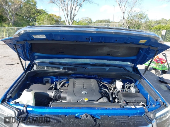 2017 Toyota Tundra 2WD Platinum with VIN 5TFGW5F1XHX225751, listed as a IAAI auction lot 41536231 with 159,962 mi miles. Bid and sale history available at carsss.com. Image 10.