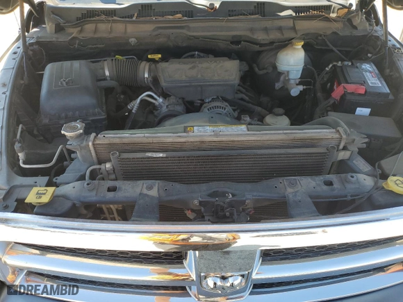 2010 Dodge Ram 1500 SLT with VIN 1D7RB1GPXAS159999, listed as a Copart auction lot 48591925 with 215,256 mi miles and Salvage Title. Bid and sale history available at carsss.com. Image 11.