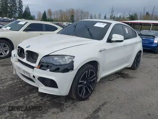 2010 BMW X6 M with VIN 5YMGZ0C52ALK13325, listed as a IAAI auction lot 40819581 with 134,282 mi miles. Bid and sale history available at carsss.com. Image 17.