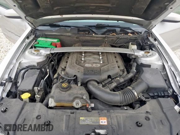 2013 Ford Mustang GT with VIN 1ZVBP8CF2D5215937, listed as a Copart auction lot 61425015 with Not provided miles and Salvage title. Bid and sale history available at DreamBid. Image 11.