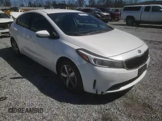 2018 Kia Forte LX with VIN 3KPFL4A75JE225608, listed as a Copart auction lot 49241415 with 188,236 mi miles and Salvage Title. Bid and sale history available at carsss.com. Image 11.