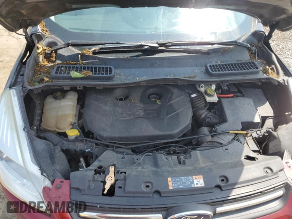 2014 Ford Escape SE с VIN 1FMCU9G91EUA86831, выставлен на аукционе Copart как лот 60111785 с пробегом 209 112 миль миль и Чистый • Clean title. История ставок и продаж доступна на DreamBid. Изображение 12.