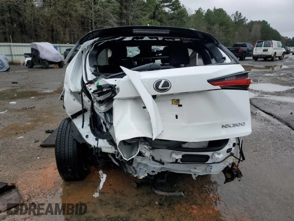 2020 Lexus NX 300 F Sport with VIN JTJSARBZ1L5019473, listed as a Copart auction lot 45130845 with Not provided miles and Salvage title. Bid and sale history available at DreamBid. Image 6.