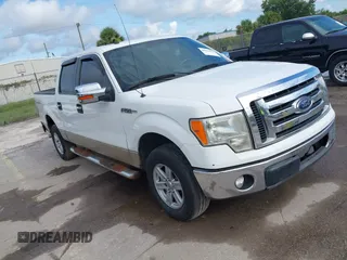 2009 Ford F-150 XL with VIN 1FTPW14V09FB17970, listed as a IAAI auction lot 42610024 with 162,631 mi miles and . Bid and sale history available at DreamBid. Image 1.