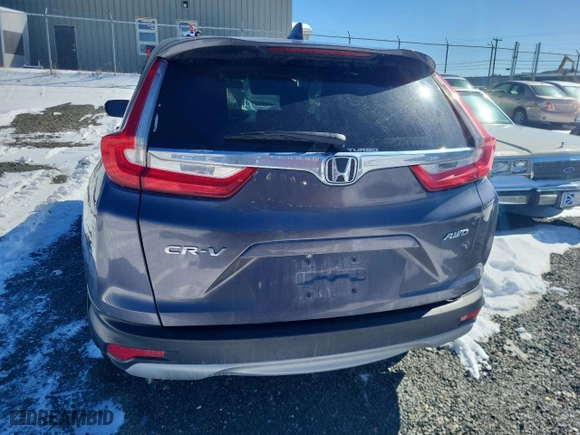 2019 Honda CR-V EX with VIN 2HKRW2H58KH114822, listed as a Copart auction lot 48309045 with 0 mi miles and Salvage Title. Bid and sale history available at carsss.com. Image 6.