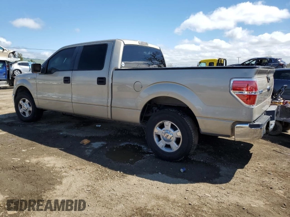 2010 Ford F-150 XL with VIN 1FTEW1C87AKA25821, listed as a Copart auction lot 49008285 with Not Provided miles and Salvage Title. Bid and sale history available at carsss.com. Image 2.