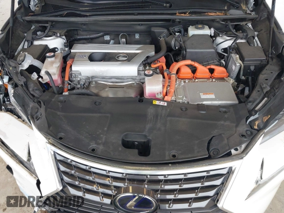2020 Lexus NX 300h with VIN JTJDJRDZ7L2126356, listed as a IAAI auction lot 41905863 with 44,014 mi miles and . Bid and sale history available at DreamBid. Image 10.