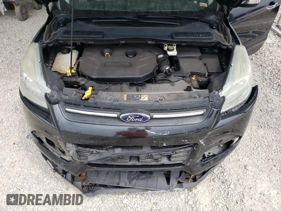 2014 Ford Escape SE with VIN 1FMCU0G91EUE12462, listed as a Copart auction lot 53032685 with 164,421 mi miles and Salvage Title. Bid and sale history available at carsss.com. Image 14.