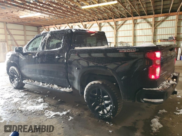 2022 Chevrolet Silverado 1500 Custom Trail Boss with VIN 3GCPDCEK0NG608635, listed as a Copart auction lot 81301514 with 46,289 mi miles and Salvage Title. Bid and sale history available at carsss.com. Image 2.