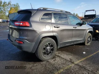 2017 Jeep Cherokee Trailhawk L Plus with VIN 1C4PJMBS1HD237067, listed as a Copart auction lot 77696854 with 102,160 mi miles and Salvage Title. Bid and sale history available at carsss.com. Image 3.