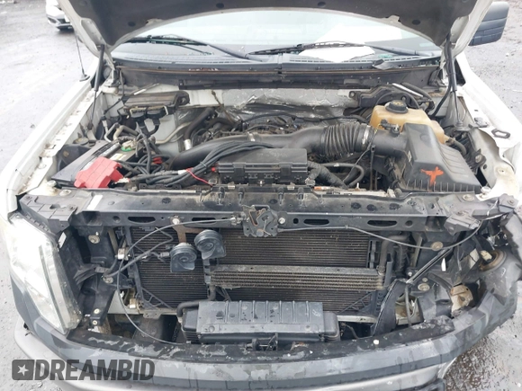 2013 Ford F-150 XL with VIN 1FTFX1ET8DKE95332, listed as a IAAI auction lot 40480905 with 243,758 mi miles and . Bid and sale history available at DreamBid. Image 10.