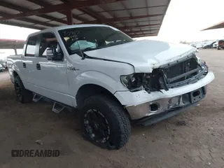 2013 Ford F-150 XL with VIN 1FTFW1EF5DFB99853, listed as a IAAI auction lot 42024669 with 113,013 mi miles. Bid and sale history available at carsss.com. Image 1.