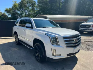 2019 Cadillac Escalade Luxury with VIN 1GYS4BKJ9KR170459, listed as a Copart auction lot 64356165 with 51,145 mi miles and Clean title. Bid and sale history available at DreamBid. Image 1.