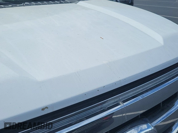 2017 Ford F-150 XL with VIN 1FTEX1C80HKC55899, listed as a IAAI auction lot 42714227 with 224,584 mi miles and . Bid and sale history available at DreamBid. Image 7.