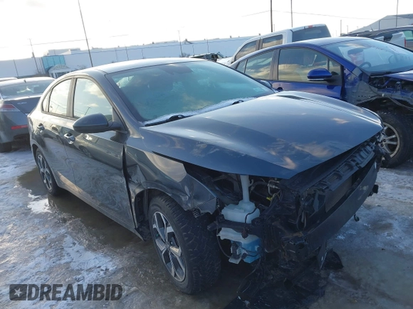 2019 Kia Forte LXS with VIN 3KPF24AD8KE032525, listed as a IAAI auction lot 41527715 with 33,561 mi miles and . Bid and sale history available at carsss.com. Image 1.