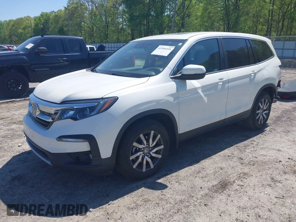 2019 Honda Pilot EX-L with VIN 5FNYF5H57KB038019, listed as a IAAI auction lot 41994410 with 126,738 mi miles and . Bid and sale history available at carsss.com. Image 2.
