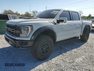 2023 Ford F-150 Raptor with VIN 1FTFW1RJ9PFA82277, listed as a Copart auction lot 86308544 with Not Provided miles and Salvage Title. Bid and sale history available at DreamBid. Image 1.