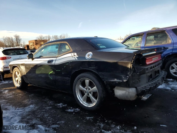 2010 Dodge Challenger R/T with VIN 2B3CJ5DT0AH314838, listed as a Copart auction lot 43503315 with 55,834 mi miles and Non Repairable. Bid and sale history available at carsss.com. Image 2.