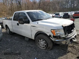 2010 Ford F-150 XL with VIN 1FTFX1CV2AFD12192, listed as a Copart auction lot 49967905 with 205,641 mi miles and Salvage Title. Bid and sale history available at DreamBid. Image 4.