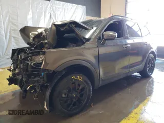 2024 Kia Telluride SX X-Pro z VIN 5XYP5DGC3RG498967, wystawiony jako Copart lot #45762725 z przebiegiem Nie podano mil oraz Tytuł czysty. Historia ofert i sprzedaży dostępna na DreamBid. Obrazek 1.