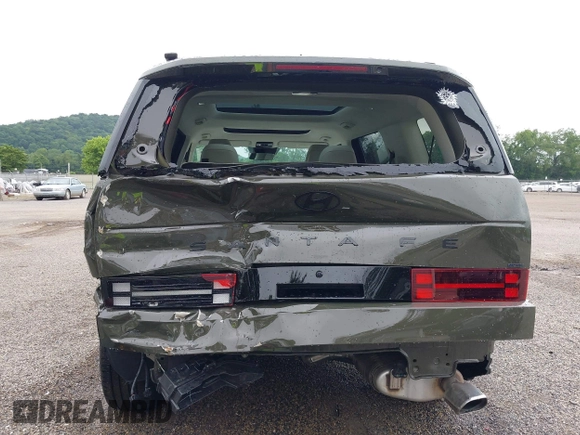 2025 Hyundai Santa Fe Calligraphy с VIN 5NMP5DGL7SH121795, выставлен на аукционе IAAI как лот 42488004 с пробегом 1 974 миль миль и . История ставок и продаж доступна на DreamBid. Изображение 6.