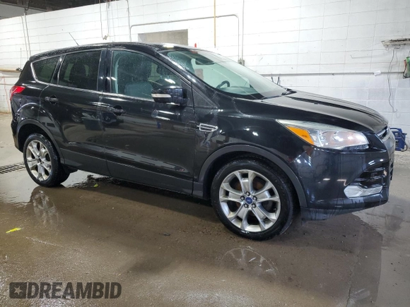 2013 Ford Escape SEL with VIN 1FMCU0HX0DUA95074, listed as a Copart auction lot 53362365 with 261,444 mi miles and Clean Title. Bid and sale history available at carsss.com. Image 4.