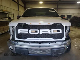 2010 Ford F-150 XL with VIN 1FTFX1CV7AKB71384, listed as a Copart auction lot 82047394 with 149,606 mi miles and Salvage Title. Bid and sale history available at carsss.com. Image 5.