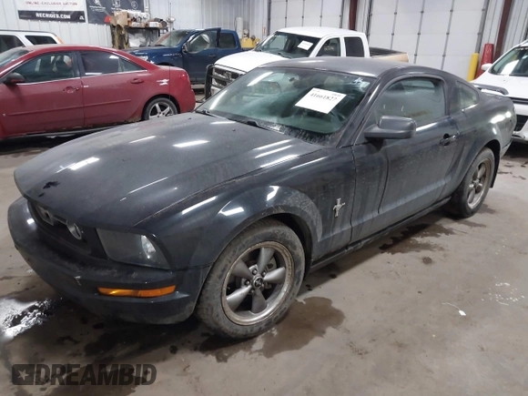 2006 Ford Mustang Standard with VIN 1ZVFT80N065222784, listed as a IAAI auction lot 41661827 with 76,591 mi miles and . Bid and sale history available at carsss.com. Image 2.