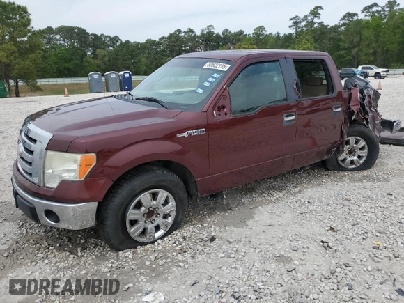 2009 Ford F-150 XL with VIN 1FTRW12849FA64308, listed as a Copart auction lot 50622195 with 177,088 mi miles and Non Repairable. Bid and sale history available at carsss.com. Image 1.