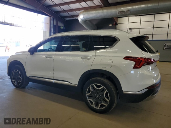 2023 Hyundai Santa Fe Limited with VIN 5NMS4DAL0PH532162, listed as a Copart auction lot 55289655 with 48,887 mi miles and Clean Title. Bid and sale history available at DreamBid. Image 2.