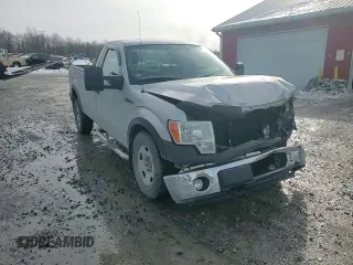 2009 Ford F-150 XL with VIN 1FTVF14V99KB49833, listed as a Copart auction lot 43116685 with 124,541 mi miles and Salvage title. Bid and sale history available at DreamBid. Image 11.