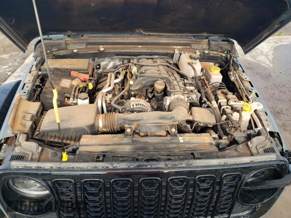 2024 Jeep Wrangler Sport S with VIN 1C4PJXDG6RW290752, listed as a Copart auction lot 58501845 with 11,656 mi miles and Clean title. Bid and sale history available at DreamBid. Image 12.