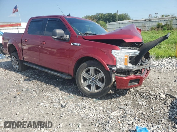 2019 Ford F-150 XL with VIN 1FTEW1C44KFD08541, listed as a Copart auction lot 66410744 with Not Provided miles and Salvage Title. Bid and sale history available at DreamBid. Image 4.