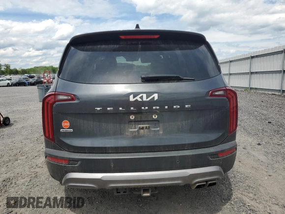 2022 Kia Telluride EX with VIN 5XYP3DHC9NG313013, listed as a Copart auction lot 55946615 with 58,276 mi miles and Salvage title. Bid and sale history available at DreamBid. Image 6.