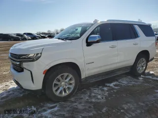 2023 Chevrolet Tahoe Premier with VIN 1GNSKSKD8PR246175, listed as a Copart auction lot 48263865 with 54,988 mi miles and Clean Title. Bid and sale history available at carsss.com. Image 1.