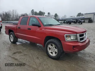 2010 Dodge Dakota Bighorn/Lonestar with VIN 1D7CW3GK9AS188579, listed as a Copart auction lot 51712185 with 198,657 mi miles and Clean Title. Bid and sale history available at carsss.com. Image 4.