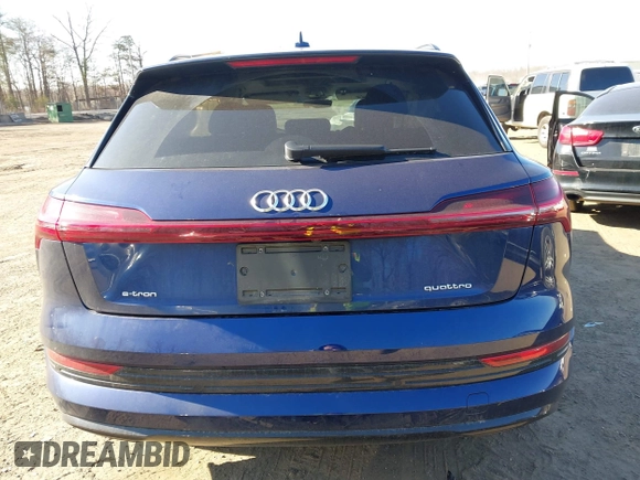 2021 Audi e-tron Premium Plus z VIN WA1LAAGE3MB018496, wystawiony jako IAAI lot #41898780 z przebiegiem 73 133 mil mil oraz . Historia ofert i sprzedaży dostępna na DreamBid. Obrazek 17.