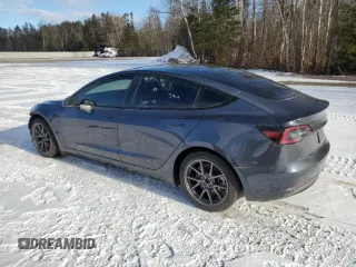 2023 Tesla Model 3 with VIN 5YJ3E1EA7PF496089, listed as a Copart auction lot 87101254 with 42,830 mi miles and Salvage Title. Bid and sale history available at DreamBid. Image 2.
