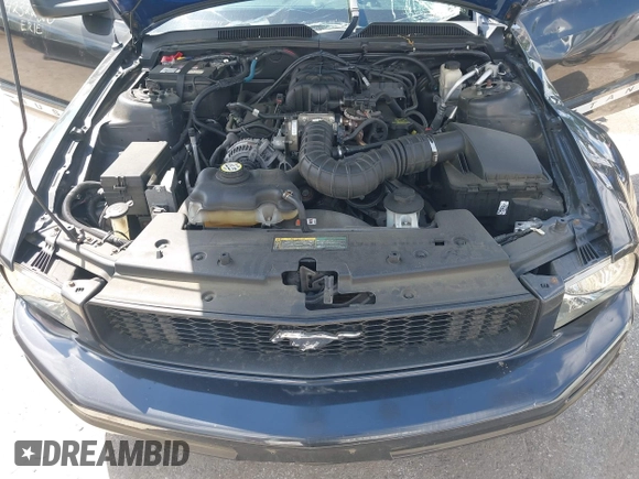 2009 Ford Mustang with VIN 1ZVHT80N395126614, listed as a IAAI auction lot 42322380 with 51,373 mi miles and . Bid and sale history available at DreamBid. Image 10.